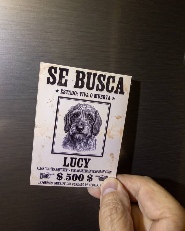 Mano sosteniendo un imán de Se busca con el retrato de una perra